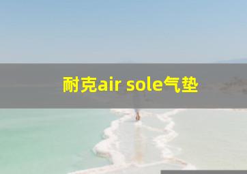 耐克air sole气垫